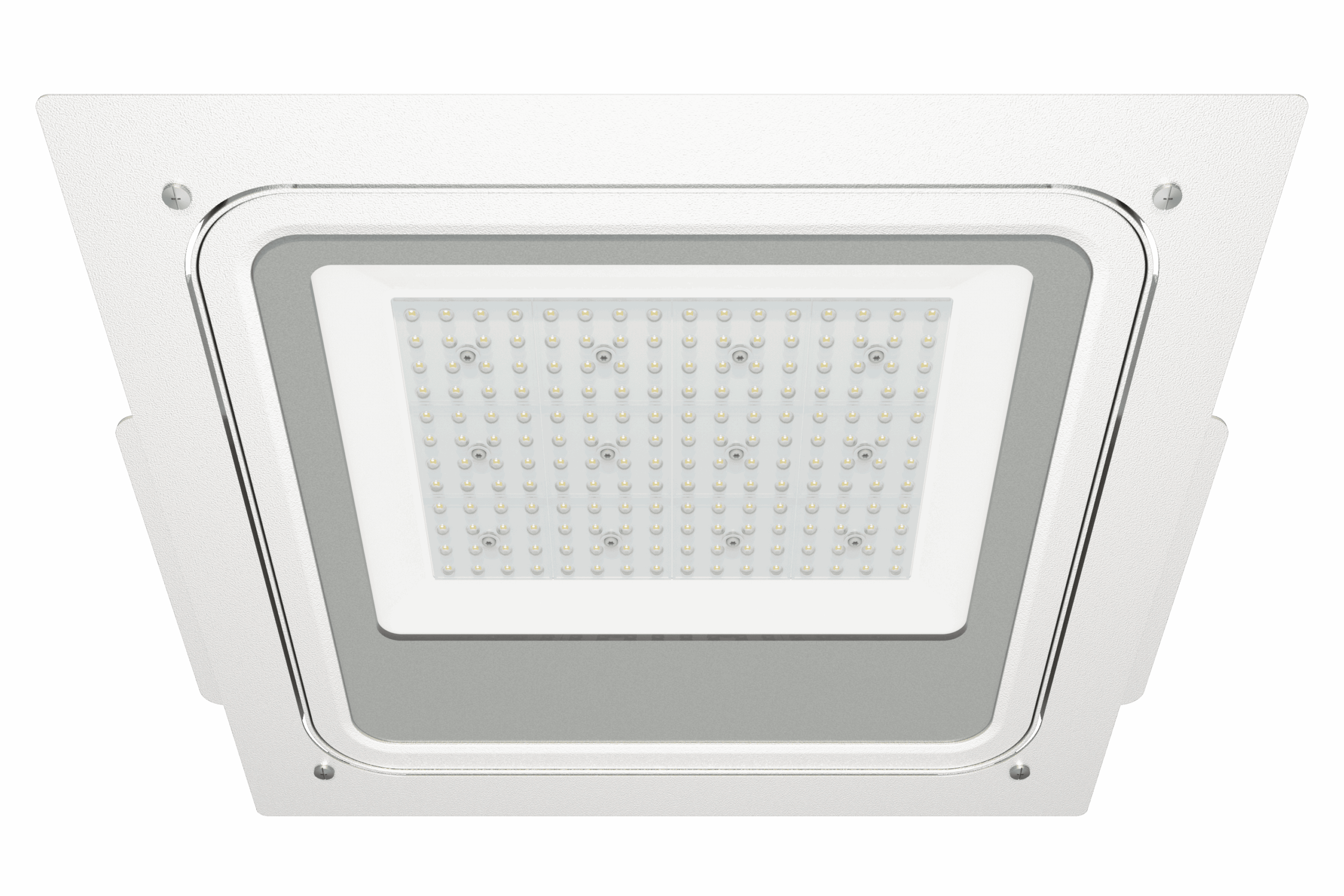 Primo Led
